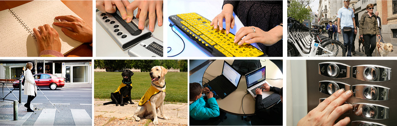Distintos escenarios: unas manos leyendo un libro en braille, unas manos utilizando una línea braille, unas manos utilizando un teclado de ordenador ampliado, una persona paseando con un perro guía, una persona cruzando un paso de cebra con un bastón, dos perros guía sentados, dos personas utilizando un ordenador con productos de apoyo y una mano buscando el piso en braille en un ascensor.