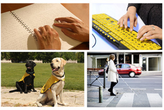 Distintos escenarios: unas manos leyendo un libro en braille, unas manos utilizando un teclado de ordenador ampliado, dos perros guía sentados y una persona cruzando un paso de cebra con un bastón.